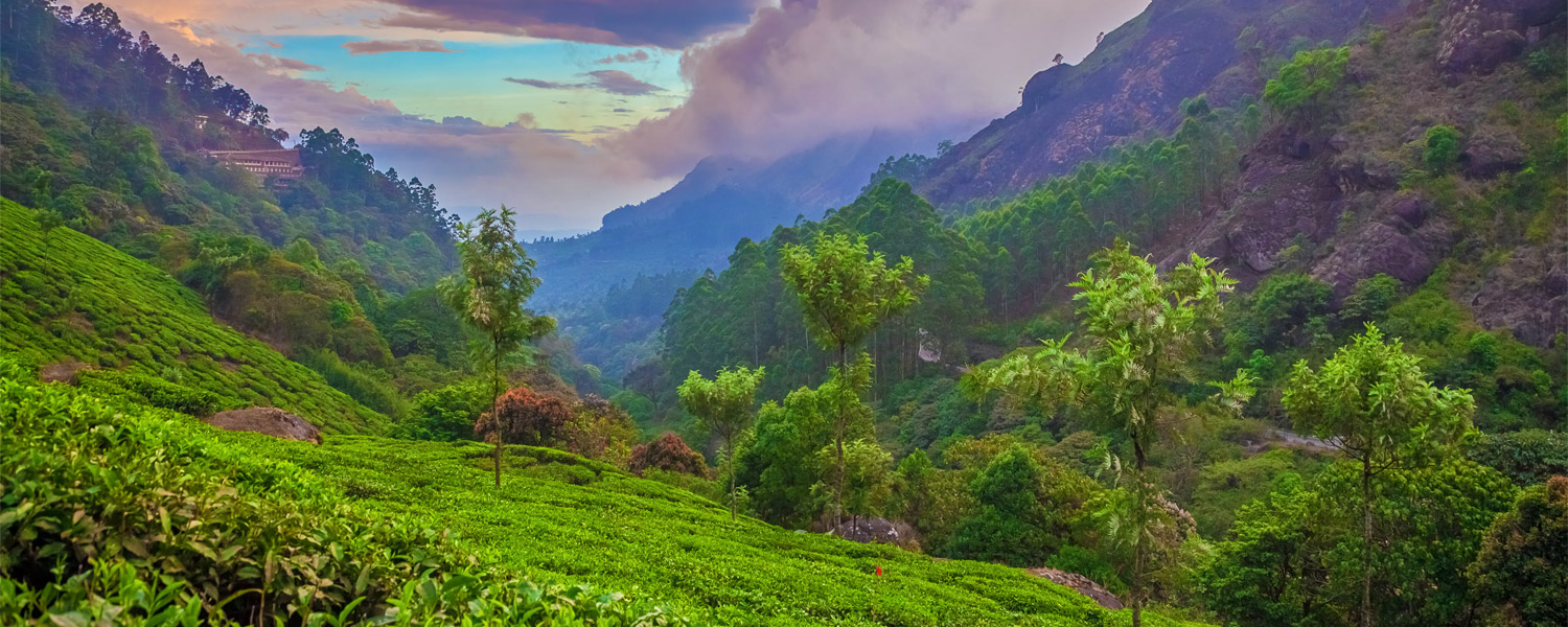 Munnar Tour Package