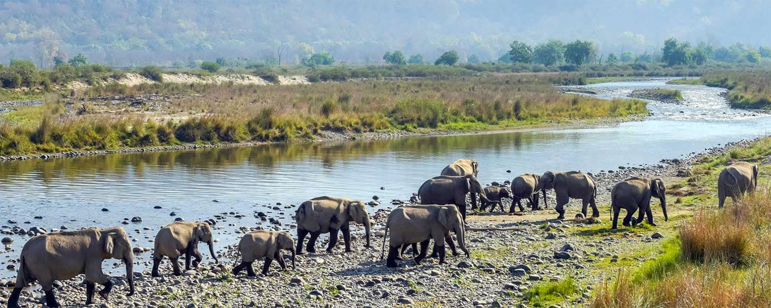 corbett national park